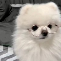 𝗆𝗂✩·̩͙ (@s2y__8llo) 's Twitter Profile