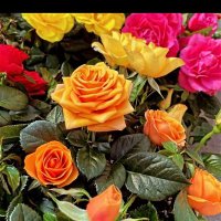 Fatma Öztürk (@fatmaoztrk0) 's Twitter Profile Photo Fatma Öztürk (@fatmaoztrk0) 's Twitter Profile Photo