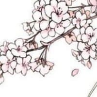 parrot409 (@parrot409) 's Twitter Profile