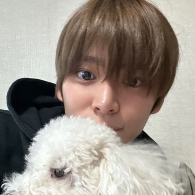 선물さんのプロフィール画像
