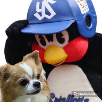 RanoAzusami_hg's profile picture. ひげさん/ゴリパラキッズ（広島）/10-FEET/犬/つば九郎/EVIL/Swallows/山崎晃大朗#31→#77
