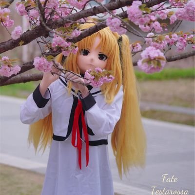 kiger,目前的角色是菲特/风鸣翼/美树沙耶香/神尾观铃(制作中)/私信可以扩列/汽车爱好者/64小车收集
【叫西西就好啦】