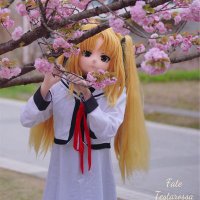 SILKO352 (@silko352) 's Twitter Profile