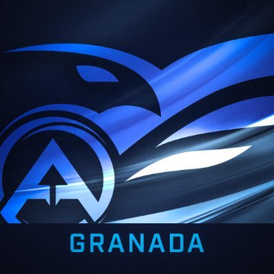 Arena Gaming Profile