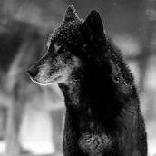 Abellmon24's profile picture. 