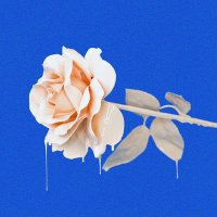 いち粉 (@itikorone_) 's Twitter Profile