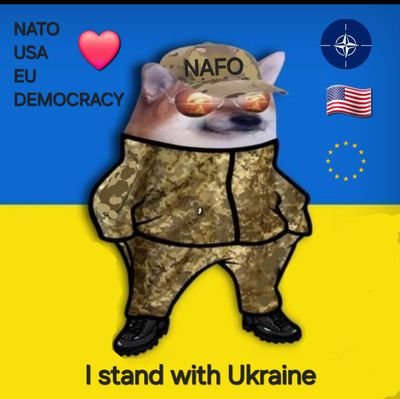 #Radical NAFO #Fella #StandWithUkraine
#FuckRussia