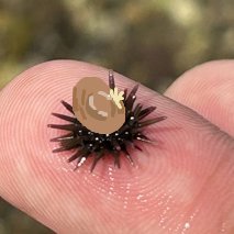 dr_NisGOOD's profile picture. @NightmareIsGOOD 계정 사라져서 넋이 나간 악몽... 핑크머리 아시는 분,... 제발 팔로우를...
원래는 명방계였고요... ㅠ_ㅠ... 다목적 겜계가 되었습니다. 겜 안 접었음
푸른하늘 NightmareIsGOOD임 똑같이 닉도 악몽임 제발요