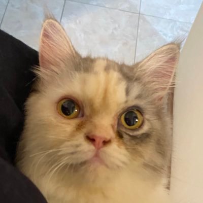 anotherjenabila's profile picture. 