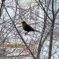 Andrea (@andrea48781650) 's Twitter Profile Photo