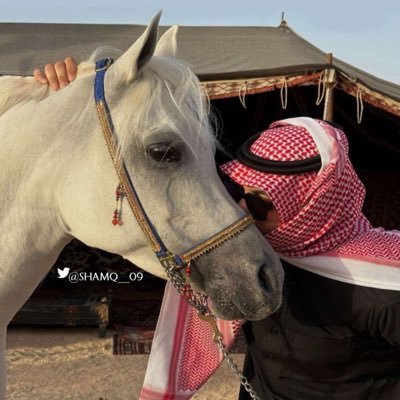 شاعراً لا جيت بحر الشعر وجزال الفرايد //كل فكره تنحني لجلي تحنّاي الاسيره