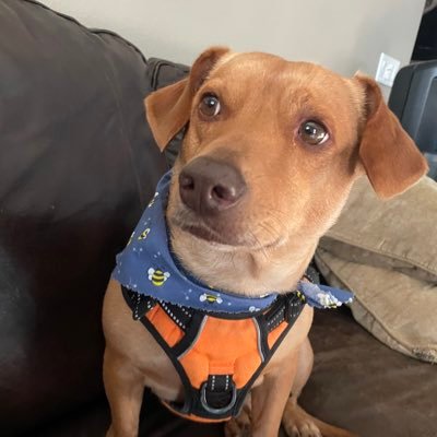 chucksenhowzen's profile picture. 