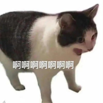 zanghuashuc's profile picture. 女大射手座我的宝宝世界第一好喜欢喜欢