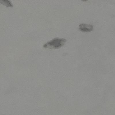 seoppungpp11625's profile picture. 