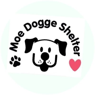 MOE DOGGE ANIMAL RESCUE SHELTER.  Supporting and caring for abused, neglected and abandoned dogs and cats