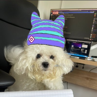 find profit for my dog food
Crypto researcher & road to quantitative roles in crypto