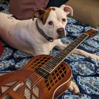 David Drewe (@dreweinlieu) 's Twitter Profile