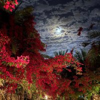 سكاكا (@mskaka69038) Twitter profile photo