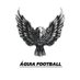Águia Football (@AguiaFootball) Twitter profile photo