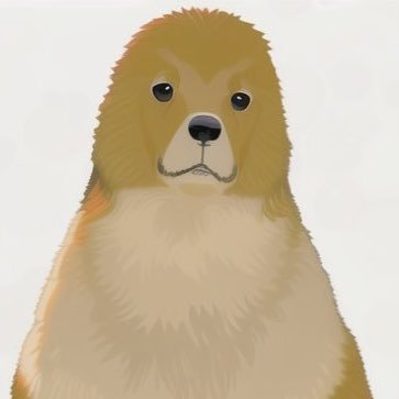 vrc垢だけどvrcやってなくて何したら良いかわかりません。助けてください 3d用アカウント(@Doginu3D)