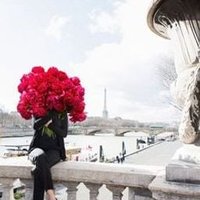 Pytew (@pytewweyq) 's Twitter Profile