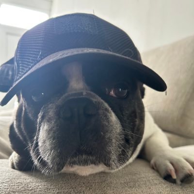 ManuLemali10409's profile picture. 