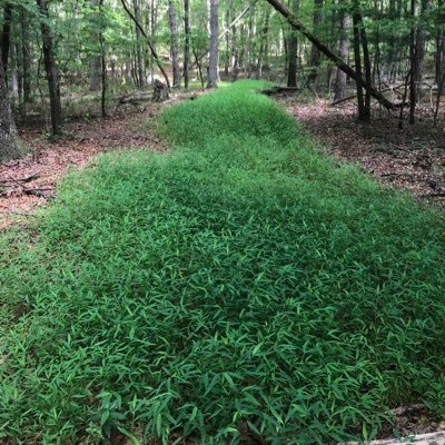 RosGrayson's profile picture. 