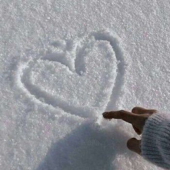 xarctic_x's profile picture. 