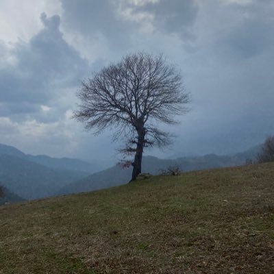 bazı şeyleri zamana ve mekana çekme çabaları. kararında kararsız