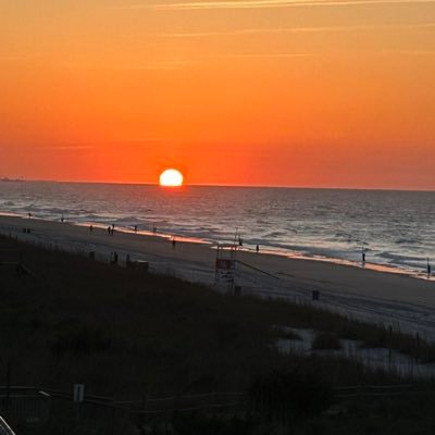 Imustsurviveee's profile picture. Live | Learn | Survive