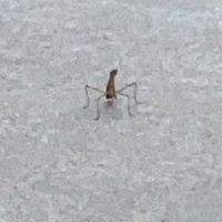 Prospect Watch 👓 (@prospectsatw) 's Twitter Profile