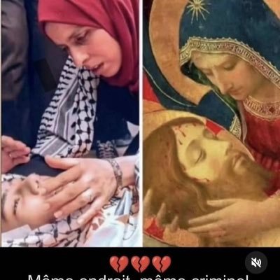 Palestine 🇵🇸🇵🇸 🇵🇸🇵🇸♥️🖤🤍💚