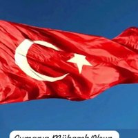 gezgin17 (@17k24326) Twitter profile photo