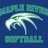 MREagleSoftball's profile image