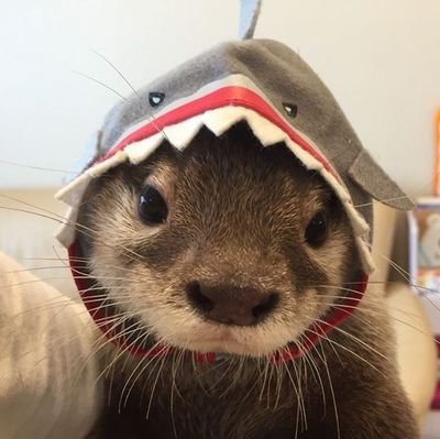 JesusRatia94131's profile picture. 