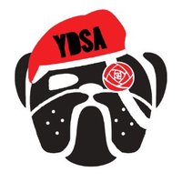 UGA YDSA(@AthensYdsa) 's Twitter Profile Photo