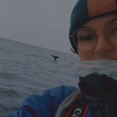 Wildlife photographer, amateur cetologist, killer whale enthusiast — Updating on the Icelandic orca population 🐋🤍 (she/her)