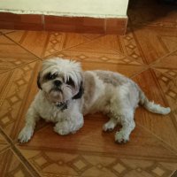 Claudia Gonzalez (@clagf02) 's Twitter Profile