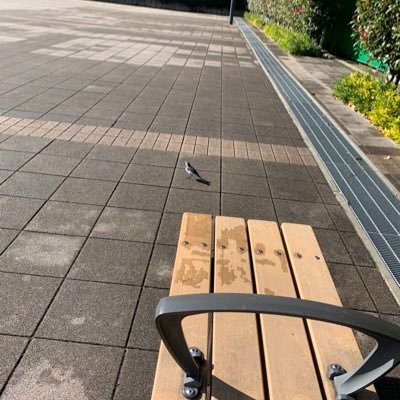 175/85/43 凹回 南関東 生交尾 乱パお誘いお待ちしてます versatile bottom bareback cumdump in Japan