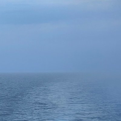 Rr85892092's profile picture. 