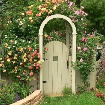 usamirguushaada's profile picture. No Success without Allah❤🤍💯