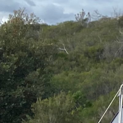 dougie3333's profile image