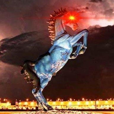 hodloradoz's profile picture. #bitcoin |

freedom

| sovereignty |

#endthefed