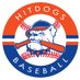 Hit Dogs IL 12u Elite (Georgas) (@hitdogsilelite) Twitter profile photo