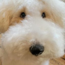 NnnUunnnnnnnnn's profile picture. the next virgin mary