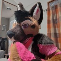 Paisley shep(@PaisleyShep) 's Twitter Profile Photo