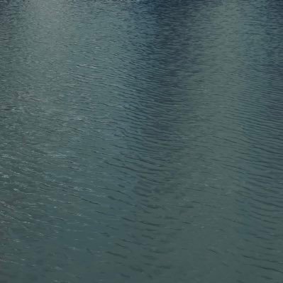 la2tseason's profile picture. introvertที่เลี้ยงบอนนี่ไปวันๆ ( ´͈ ꇴ `͈)੭⁾⁾·°˖✧˖° ⠀ ⠀ ⠀ ⠀ ⠀ ⠀ ร่างเเยก @mintdesuuuu รีวิวส่งของ #rwminut 📦