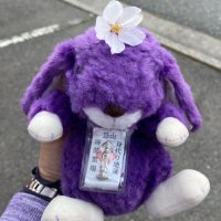 今乃水先🐰紫色大好きマン (@konnomizusakitp) Twitter profile photo