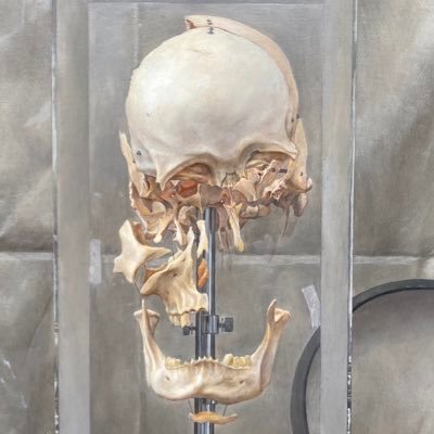 Musashino Art University 武蔵野美術大学大学院 造形研究科美術専攻油絵コース 修士1年
