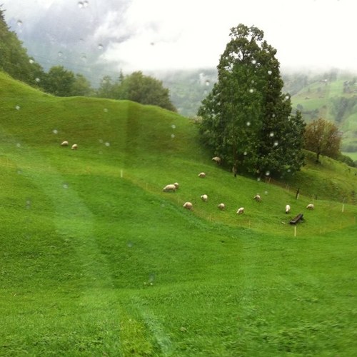 Umjojo1's profile picture. 